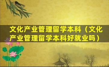 文化产业管理留学本科（文化产业管理留学本科好就业吗）