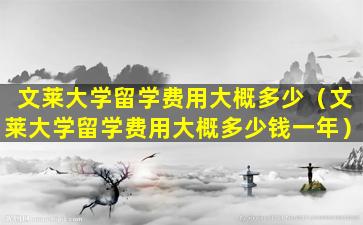 文莱大学留学费用大概多少（文莱大学留学费用大概多少钱一年）