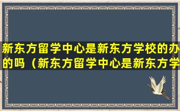 新东方留学中心是新东方学校的办的吗（新东方留学中心是新东方学校的办的吗还是公办）