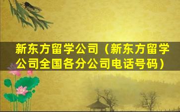 新东方留学公司（新东方留学公司全国各分公司电话号码）