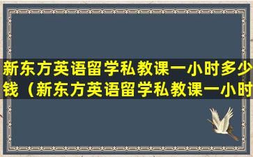 新东方英语留学私教课一小时多少钱（新东方英语留学私教课一小时多少钱啊）