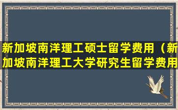 新加坡南洋理工硕士留学费用（新加坡南洋理工大学研究生留学费用）