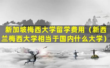 新加坡梅西大学留学费用（新西兰梅西大学相当于国内什么大学）