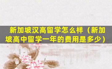 新加坡汉高留学怎么样（新加坡高中留学一年的费用是多少）