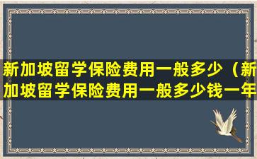 新加坡留学保险费用一般多少（新加坡留学保险费用一般多少钱一年）