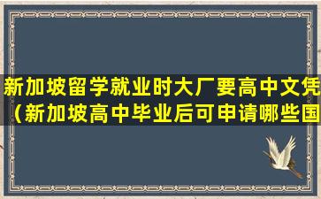 新加坡留学就业时大厂要高中文凭（新加坡高中毕业后可申请哪些国家的高校）