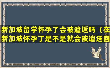 新加坡留学怀孕了会被遣返吗（在新加坡怀孕了是不是就会被遣送回国）