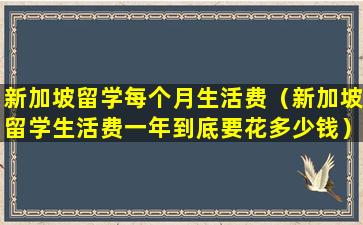 新加坡留学每个月生活费（新加坡留学生活费一年到底要花多少钱）