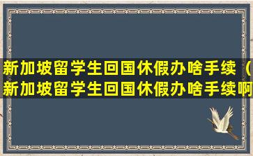 新加坡留学生回国休假办啥手续（新加坡留学生回国休假办啥手续啊）