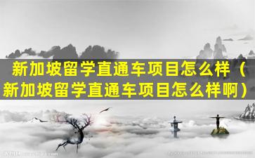 新加坡留学直通车项目怎么样（新加坡留学直通车项目怎么样啊）