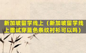 新加坡留学线上（新加坡留学线上面试穿蓝色条纹衬衫可以吗）