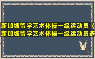 新加坡留学艺术体操一级运动员（新加坡留学艺术体操一级运动员多少钱）