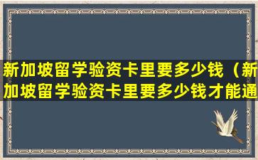 新加坡留学验资卡里要多少钱（新加坡留学验资卡里要多少钱才能通过）