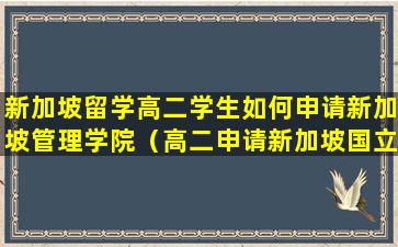 新加坡留学高二学生如何申请新加坡管理学院（高二申请新加坡国立大学）