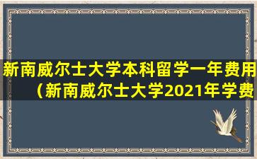 新南威尔士大学本科留学一年费用（新南威尔士大学2021年学费）