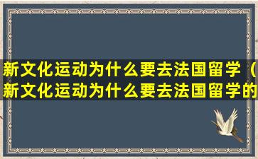 新文化运动为什么要去法国留学（新文化运动为什么要去法国留学的原因）