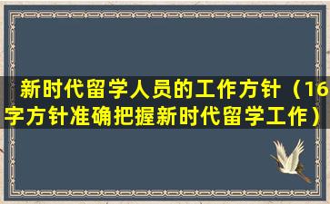 新时代留学人员的工作方针（16字方针准确把握新时代留学工作）