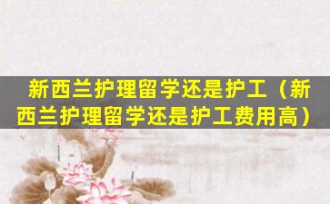 新西兰护理留学还是护工（新西兰护理留学还是护工费用高）