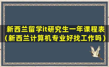 新西兰留学it研究生一年课程表（新西兰计算机专业好找工作吗）