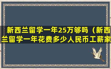 新西兰留学一年25万够吗（新西兰留学一年花费多少人民币工薪家庭可以承受吗）