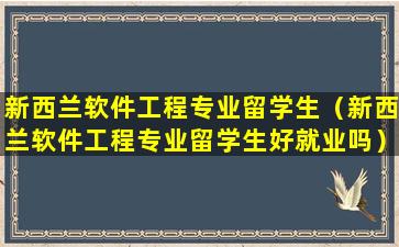 新西兰软件工程专业留学生（新西兰软件工程专业留学生好就业吗）