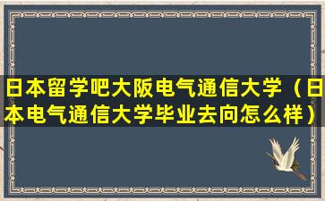 日本留学吧大阪电气通信大学（日本电气通信大学毕业去向怎么样）