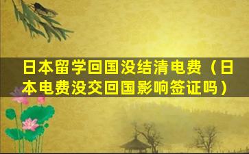 日本留学回国没结清电费（日本电费没交回国影响签证吗）