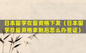 日本留学在留资格下发（日本留学在留资格拿到后怎么办签证）