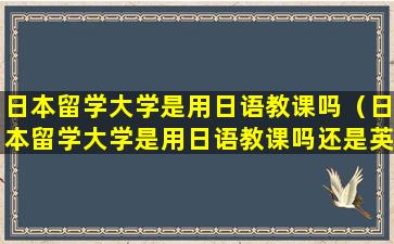 日本留学大学是用日语教课吗（日本留学大学是用日语教课吗还是英语）