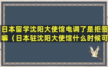 日本留学沈阳大使馆电调了是拒签嘛（日本驻沈阳大使馆什么时候可以办理签证）