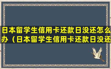 日本留学生信用卡还款日没还怎么办（日本留学生信用卡还款日没还怎么办理）