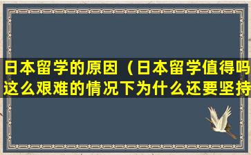 日本留学的原因（日本留学值得吗这么艰难的情况下为什么还要坚持）