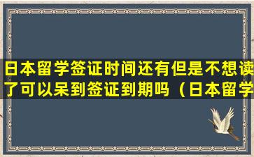 日本留学签证时间还有但是不想读了可以呆到签证到期吗（日本留学签证下来了如果没去能怎么样）