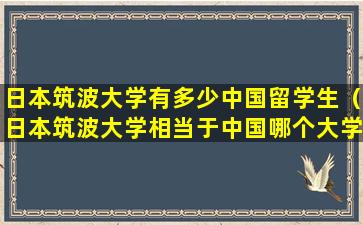 日本筑波大学有多少中国留学生（日本筑波大学相当于中国哪个大学）