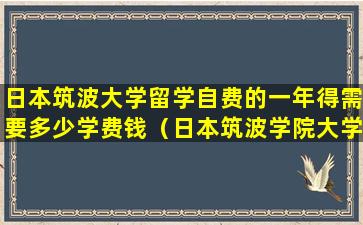 日本筑波大学留学自费的一年得需要多少学费钱（日本筑波学院大学一年学费大概是多少钱）