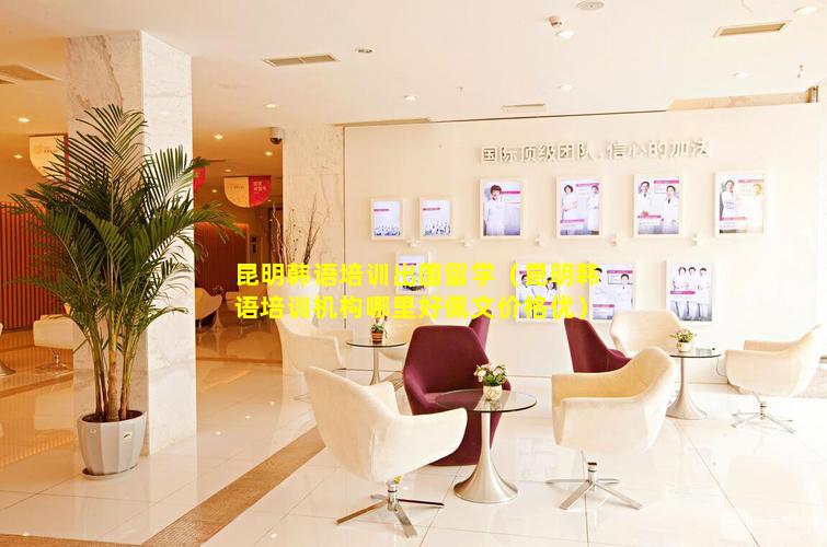 昆明韩语培训出国留学（昆明韩语培训机构哪里好佩文价格优）