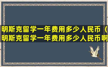 明斯克留学一年费用多少人民币（明斯克留学一年费用多少人民币啊）