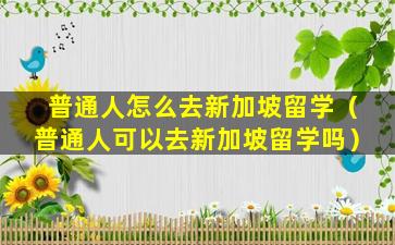 普通人怎么去新加坡留学（普通人可以去新加坡留学吗）