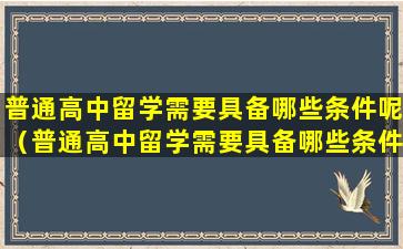 普通高中留学需要具备哪些条件呢（普通高中留学需要具备哪些条件呢知乎）