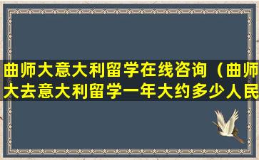 曲师大意大利留学在线咨询（曲师大去意大利留学一年大约多少人民币）