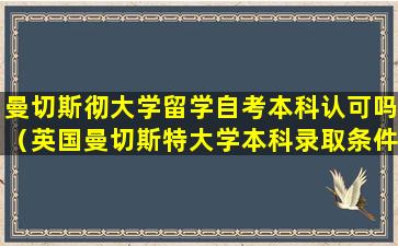 曼切斯彻大学留学自考本科认可吗（英国曼切斯特大学本科录取条件）