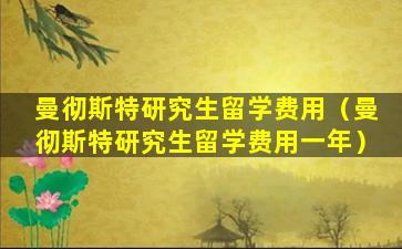 曼彻斯特研究生留学费用（曼彻斯特研究生留学费用一年）