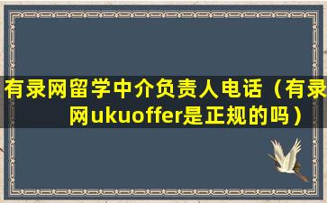 有录网留学中介负责人电话（有录网ukuoffer是正规的吗）