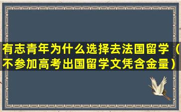 有志青年为什么选择去法国留学（不参加高考出国留学文凭含金量）