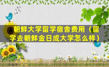 朝鲜大学留学宿舍费用（留学去朝鲜金日成大学怎么样）