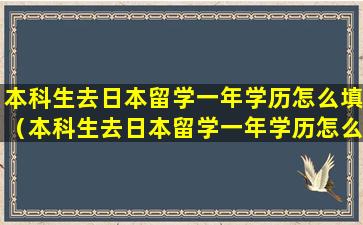 本科生去日本留学一年学历怎么填（本科生去日本留学一年学历怎么填啊）