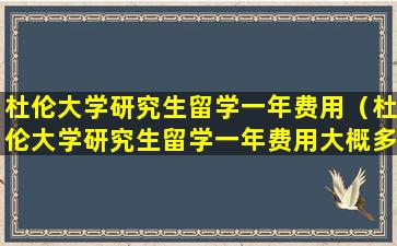 杜伦大学研究生留学一年费用（杜伦大学研究生留学一年费用大概多少）