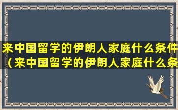 来中国留学的伊朗人家庭什么条件（来中国留学的伊朗人家庭什么条件可以落户）