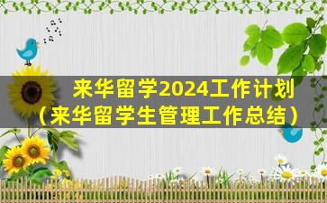 来华留学2024工作计划（来华留学生管理工作总结）