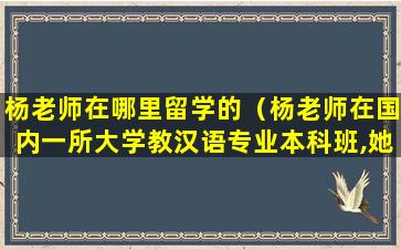 杨老师在哪里留学的（杨老师在国内一所大学教汉语专业本科班,她的班里）